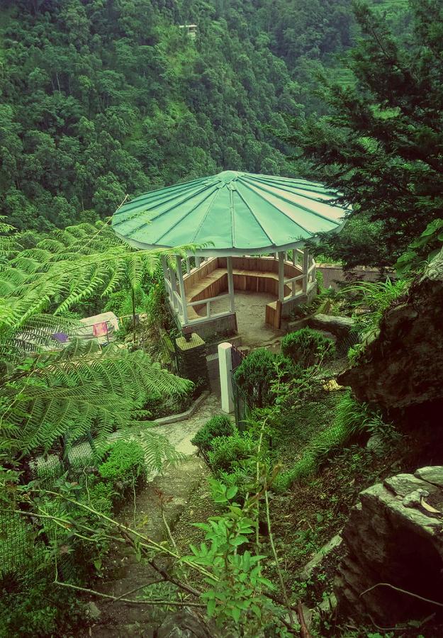 Enchanted Forest Farmstay Gangtok Bagian luar foto