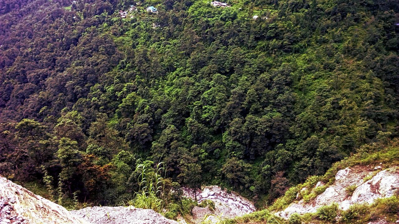 Enchanted Forest Farmstay Gangtok Bagian luar foto