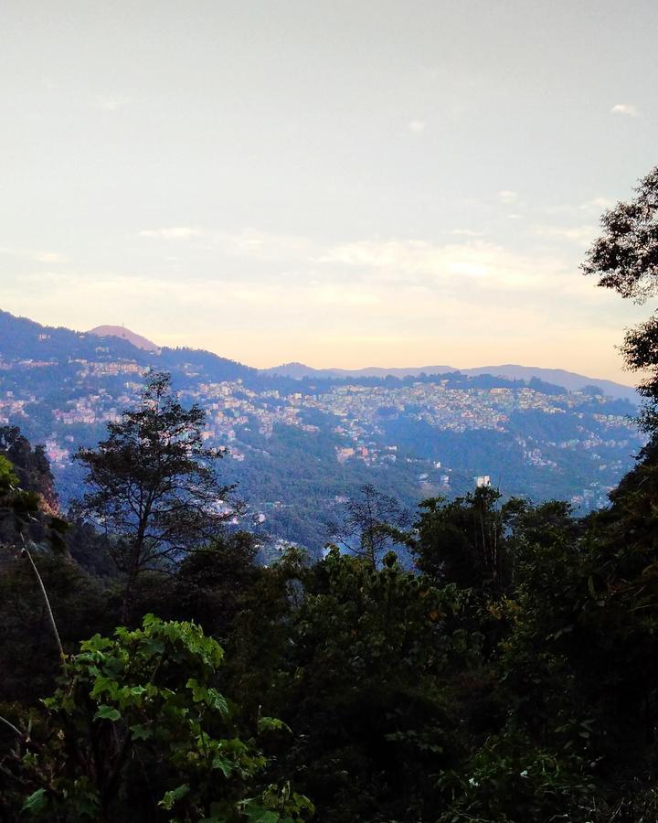 Enchanted Forest Farmstay Gangtok Bagian luar foto