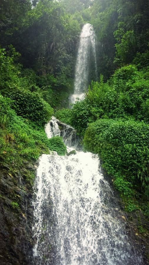 Enchanted Forest Farmstay Gangtok Bagian luar foto