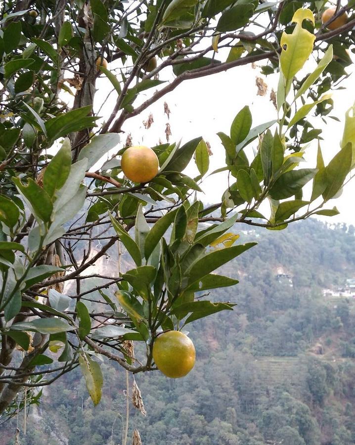 Enchanted Forest Farmstay Gangtok Bagian luar foto