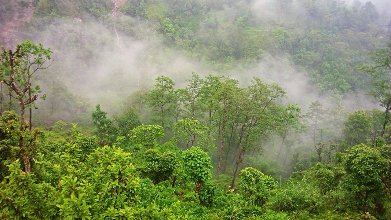 Enchanted Forest Farmstay Gangtok Bagian luar foto
