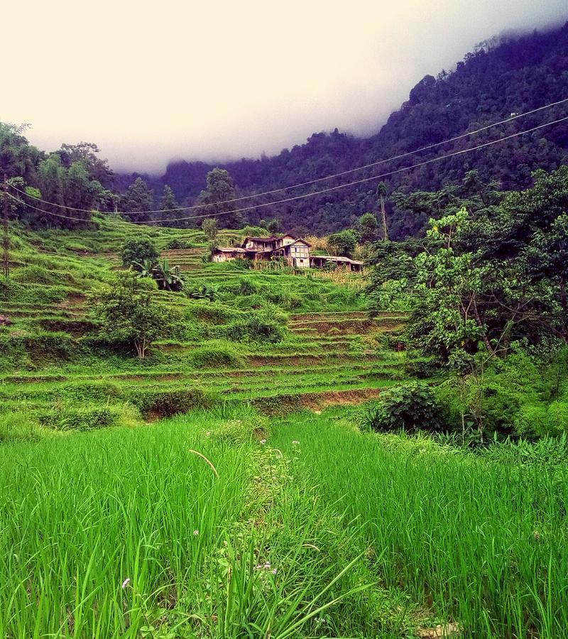 Enchanted Forest Farmstay Gangtok Bagian luar foto