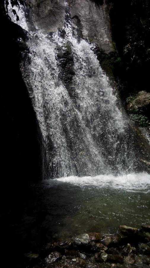 Enchanted Forest Farmstay Gangtok Bagian luar foto