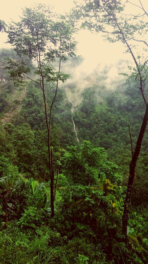 Enchanted Forest Farmstay Gangtok Bagian luar foto