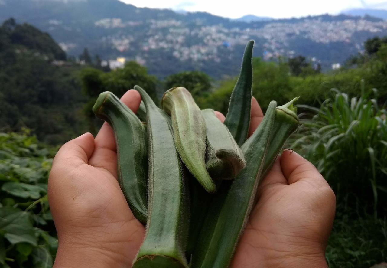 Enchanted Forest Farmstay Gangtok Bagian luar foto