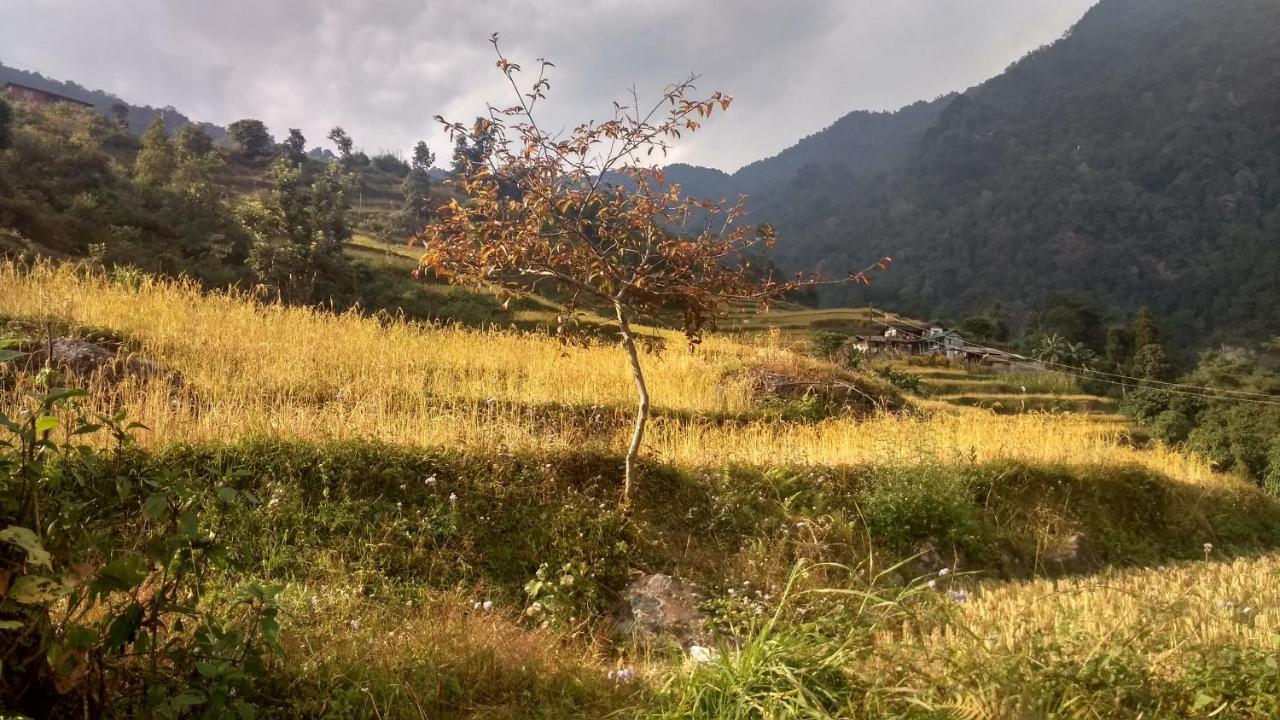 Enchanted Forest Farmstay Gangtok Bagian luar foto