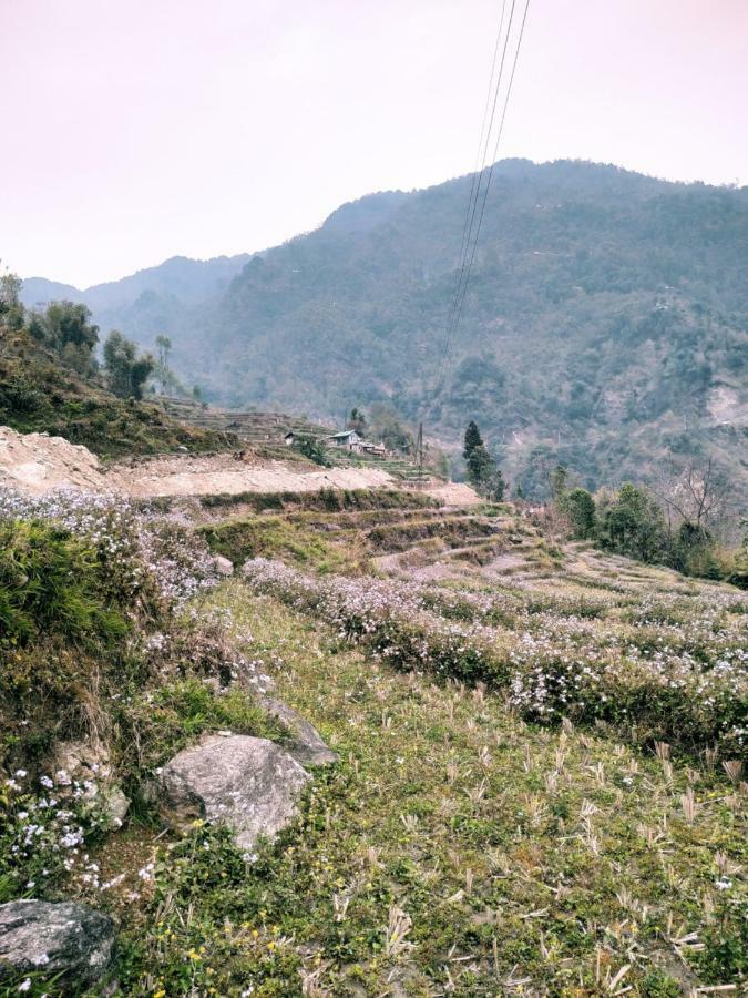 Enchanted Forest Farmstay Gangtok Bagian luar foto