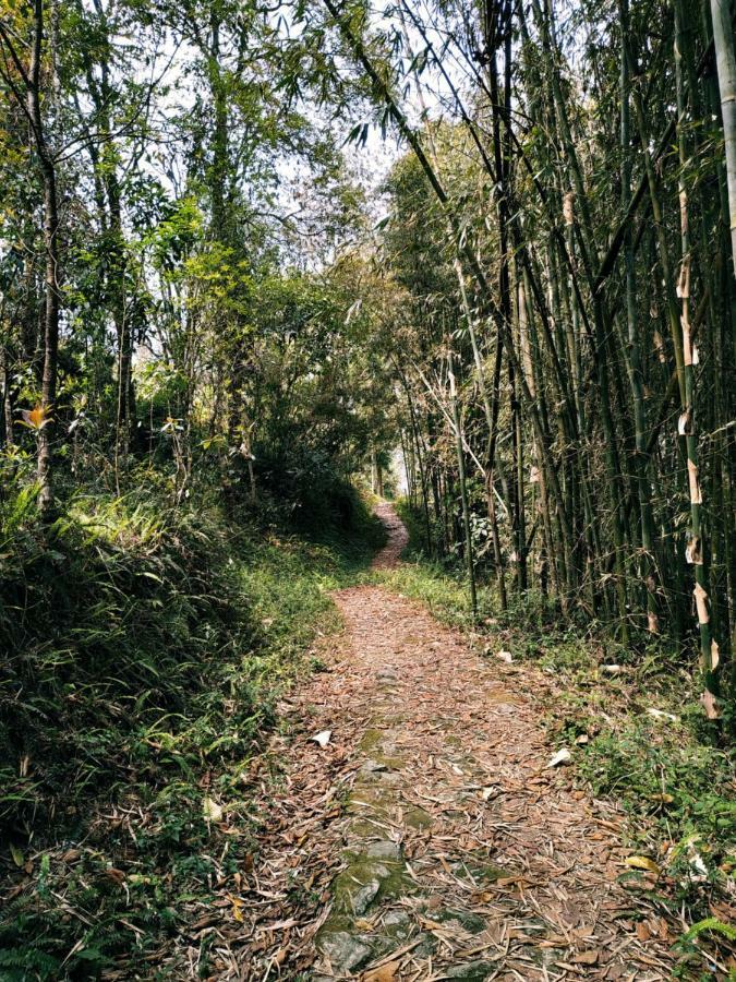 Enchanted Forest Farmstay Gangtok Bagian luar foto