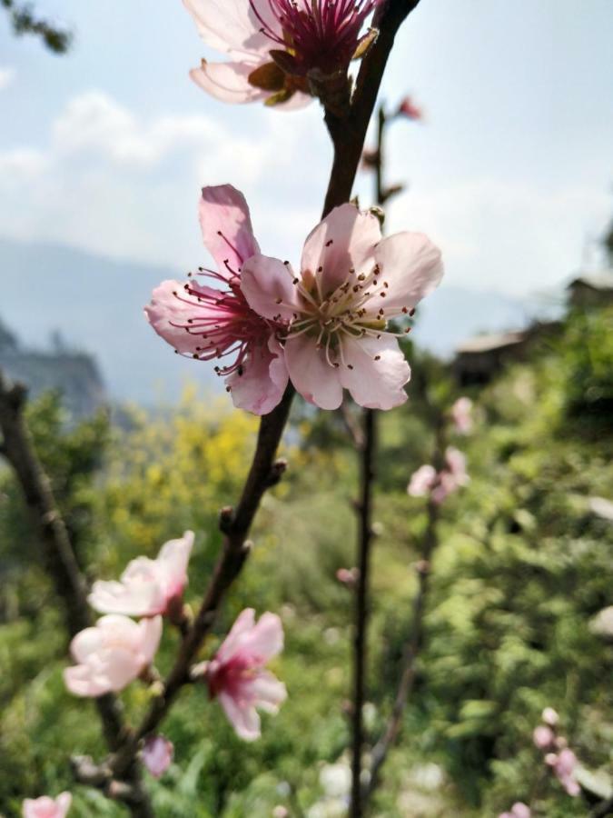 Enchanted Forest Farmstay Gangtok Bagian luar foto