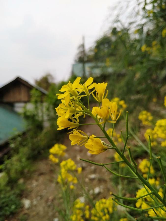 Enchanted Forest Farmstay Gangtok Bagian luar foto