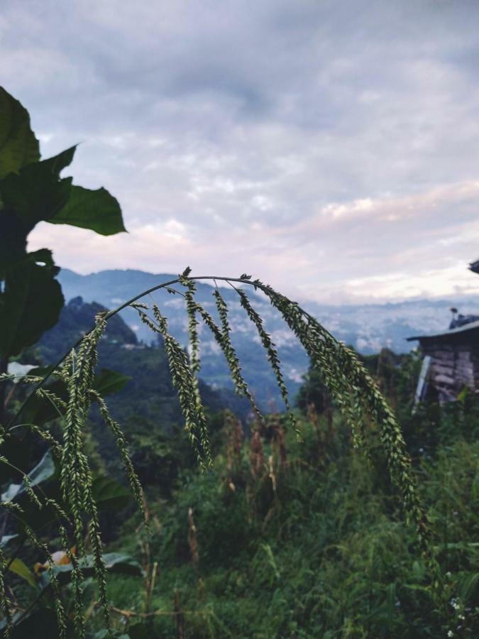 Enchanted Forest Farmstay Gangtok Bagian luar foto