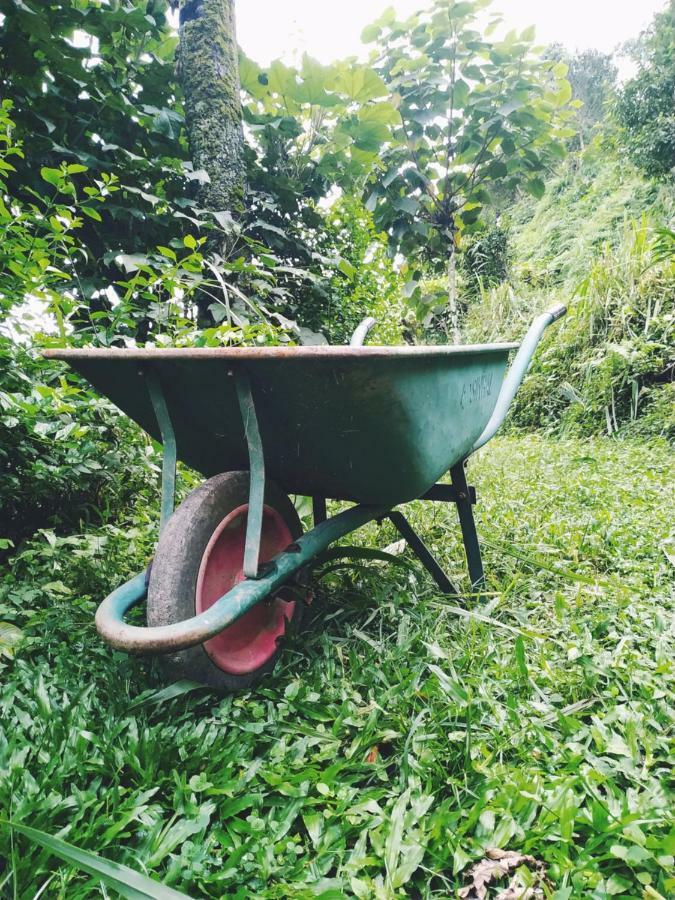 Enchanted Forest Farmstay Gangtok Bagian luar foto