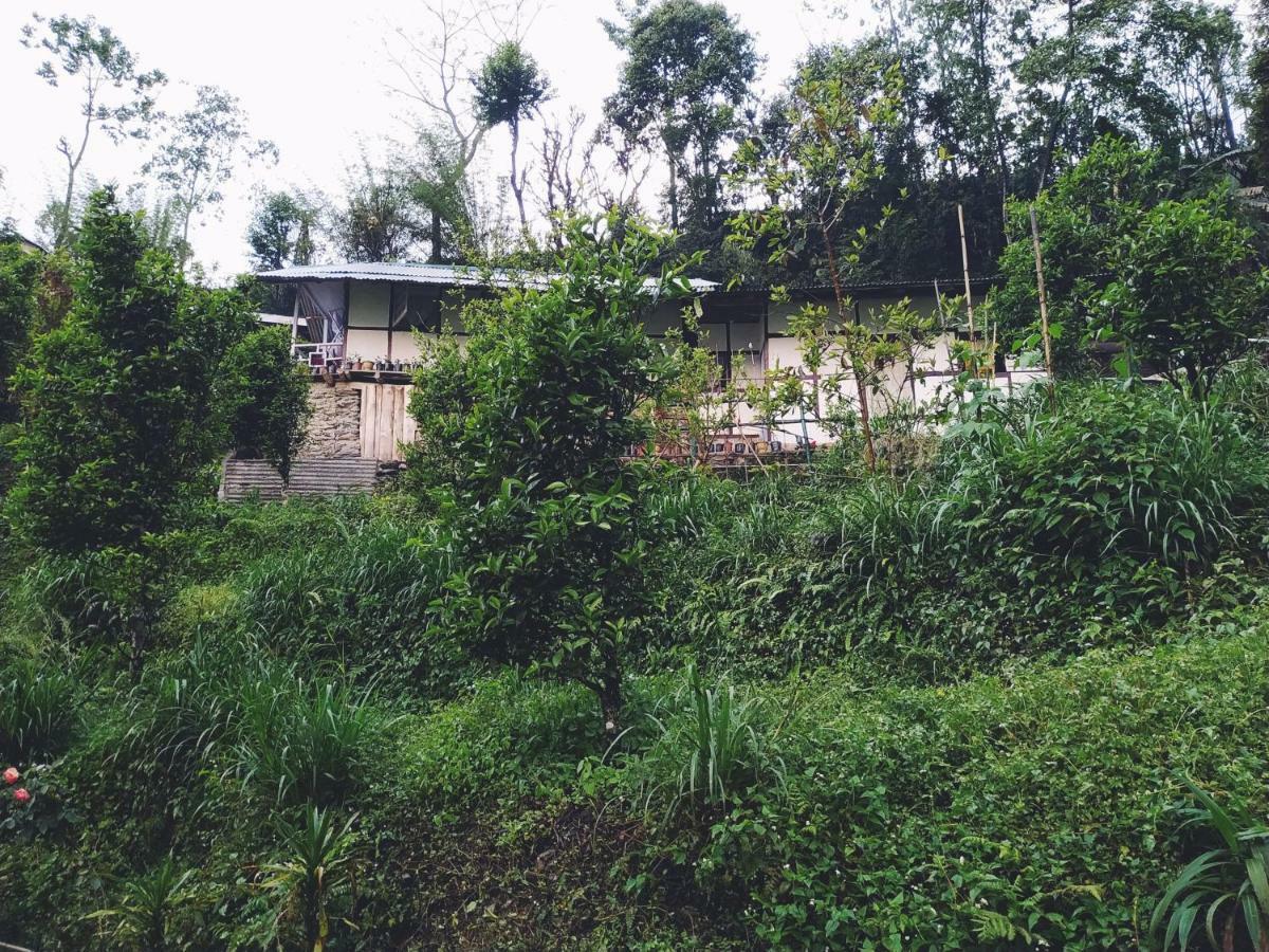 Enchanted Forest Farmstay Gangtok Bagian luar foto
